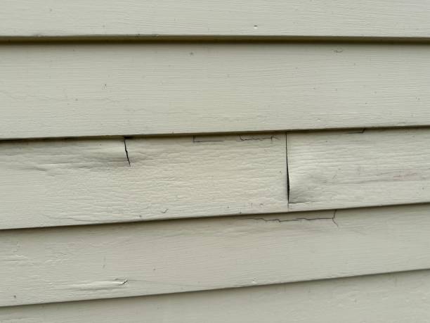 Siding for Commercial Buildings in Shelton, NE